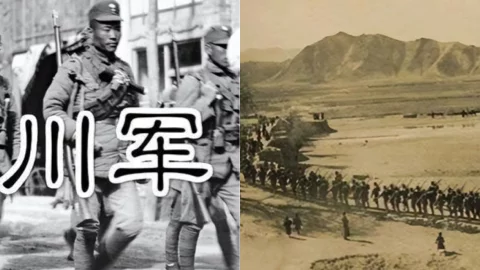 川军团南京失踪真相